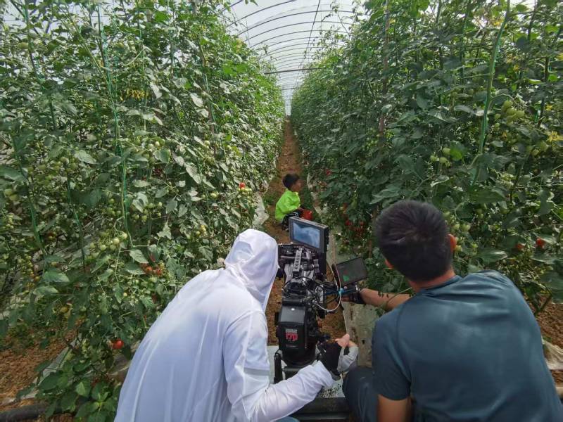 金口河区产品宣传视频拍摄公司进阶指南，助力品牌抢占传播高地